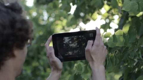Man Photographing Nature In The Tablet Stock Footage 71152876