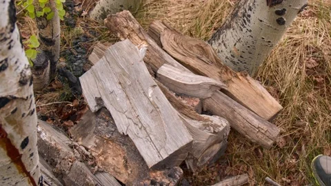 Man Picking Up Firewood Stock Footage 132345453