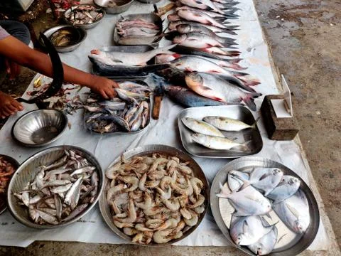 Man picking up fish to be cleaned from Variety for fish being sold in Indian Stock-Fotos