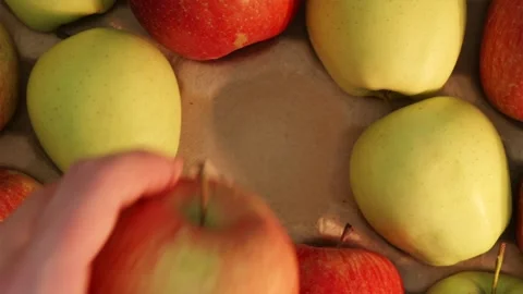 Man picking fresh red apple from center of wooden crate Stock Footage 339299490