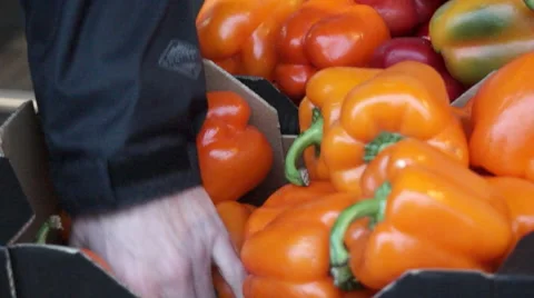 Man picking up a fruit Stock Footage 44794109