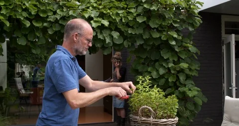 Man picking herbs in garden gets little attention from his wife 4K Stock Footage 91022236