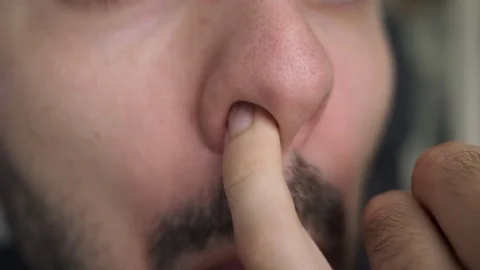 Young man with finger in his nose, picking the nostrils Stock Photo