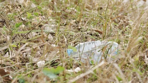 Man picking up plastic bottle, environmental disaster Stock Footage 117048733
