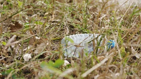 Man picking up plastic bottle, environmental disaster Stock Footage 117048797