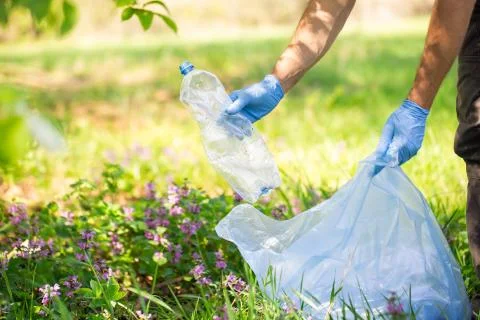 Man picking up plastic bottle, garbage collecting in a forest cleaning planet 库存照片