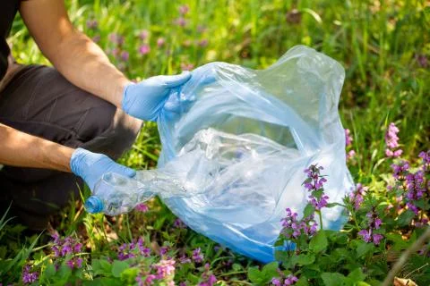 Man picking up plastic bottle, garbage collecting in a forest cleaning planet 库存照片