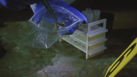 Man picking up a spent bullet shell with a pair of tweezers near a crime in.. Stock Footage 275613037