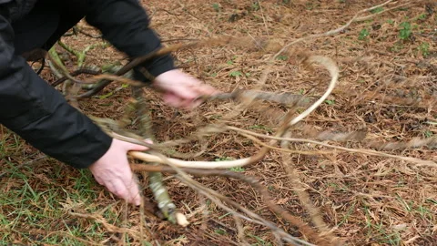 A man picking up sticks and branches in a back yard field garden in autumn Stock Footage 233702838
