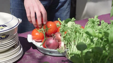 Man picking tomatoes Stock Footage 24374694