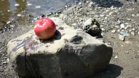 Man picks up an apple from a stone by the river Stock Footage 139203696