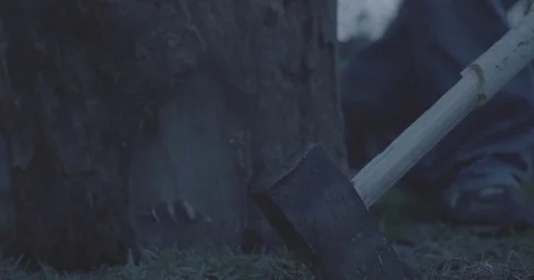 Man picks up axe to chop firewood Stock Footage 76703701