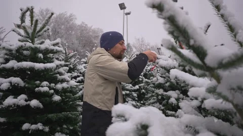 Man picks out Christmas tree at outdoor market in winter in snowy weather before Stock Footage 287013057