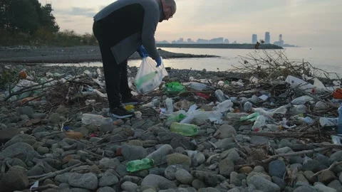Man picks up plastic bottles in trash bag on plastic polluted beach Stock Footage 232629057