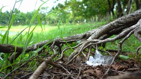 Man picks up a plastic from grass in the park. Stop plastic concept. Stock Footage 116252803