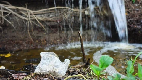 Man picks up a plastic from grass in the park. Stop plastic concept. Vídeo Stock 116252878