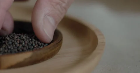 Man picks up Red Cabbage Seeds Video stock 240386555