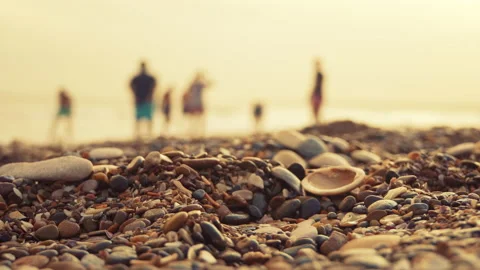 A man picks up sunglasses on beach Stock Footage 138845993