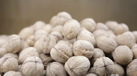 Man picks up a walnuts with both hands Stock Footage 58334040