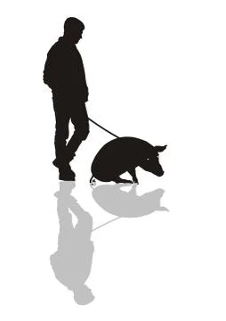 Man with a pig on a leash Stock Illustration