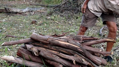 Man Piling up fire wood Stock Footage 135260726