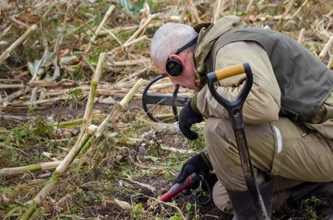 A man with a pinpointer in his hand is looking for a find in the ground. Next Stock Photos