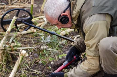 A man with a pinpointer in his hand is looking for a find in the ground. Next Stock Photos