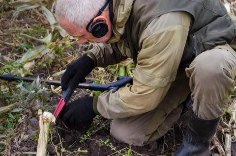 A man with a pinpointer in his hand is looking for a find in the ground. Next Stock Photos