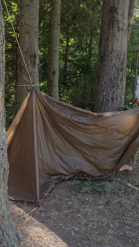 Man Pitching Ultralight Camping Tarp Shelter Between Trees in Woods Video stock 345065313
