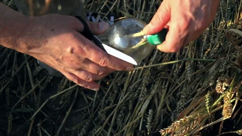 Man placing corn into plastic bottle. Stock Footage 78682939