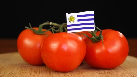 Man placing decorative toothpick with flag of Uruguay into bunch of tomatoes. Stock Footage 152789865