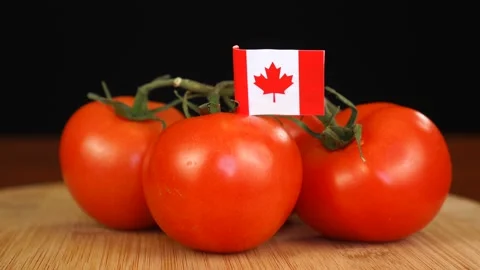 Man placing decorative toothpick with flag of Canada into bunch of tomatoes. Stock Footage 152792253