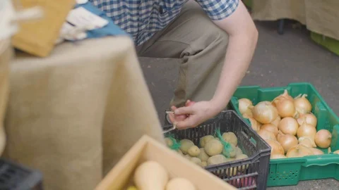 Man placing onion in crate Stock Footage 87808460