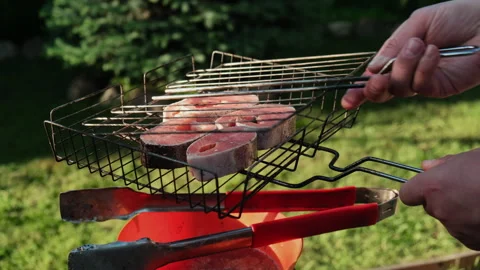 Man placing red fish on grill grate. Cookout, summer picnic Stock Footage 340333110
