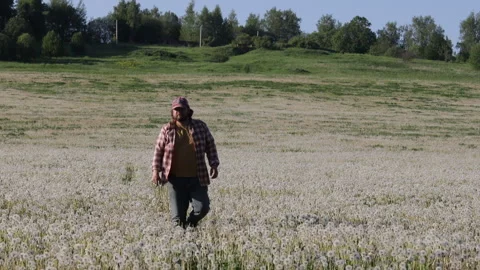 A man in a plaid shirt walking through a field of dandelions 스톡 동영상 276723041