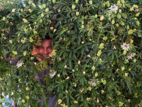 The man in the plant frame Stock Photos