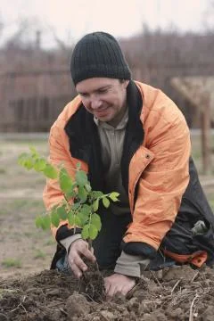 Man planting a sapling Stock Photos