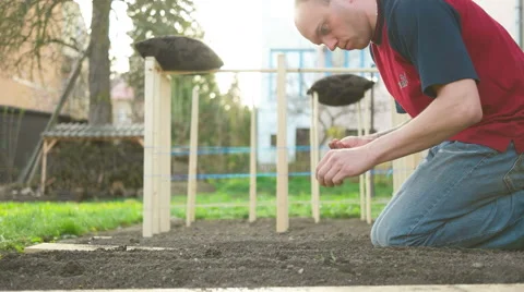 Man Planting Seeds in the Rows Stock Footage 62404907