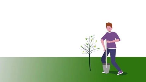Man planting a tree background in 4k video. Stock Footage 145643399
