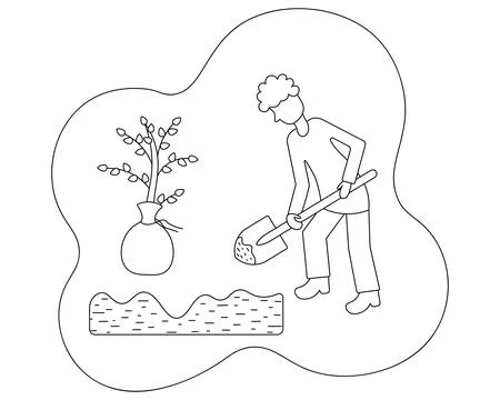 Man planting a tree. Digging the ground with a shovel. Young bush for plant. Illustrazione stock