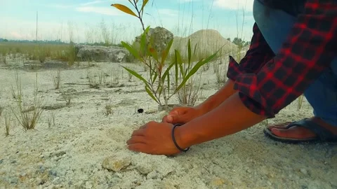 A man is planting a tree Stock Footage 199889056