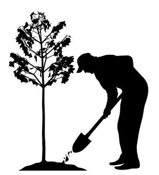 Man planting a tree Stock Illustration