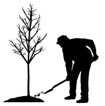 Man planting a tree Stock Illustration