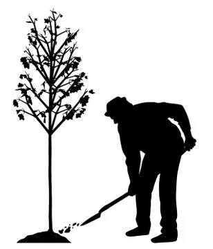 Man planting a tree Illustrazione stock