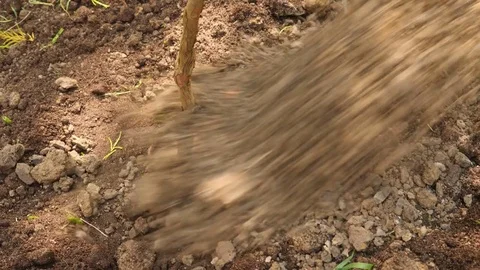 Man planting a tree. Sunrise. Silhouette. Spring. 4k slow motion Stock Footage