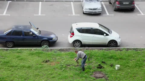 Man plants tree on grass plot near parking with cars Vidéo 22734663