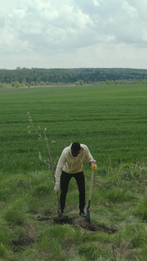 A man plants a tree, showing commitment to the environment 動画素材 305877175