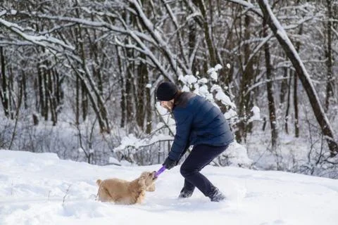 Man play with cocker spaniel Stock Photos