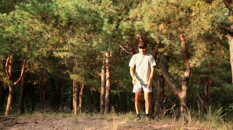 Man play with a dog in pine fores at evening Stock Footage 41860287