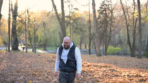 Man playing in autumn leaves while enjoying sunny afternoon in tranquil park Stock Footage 346742528